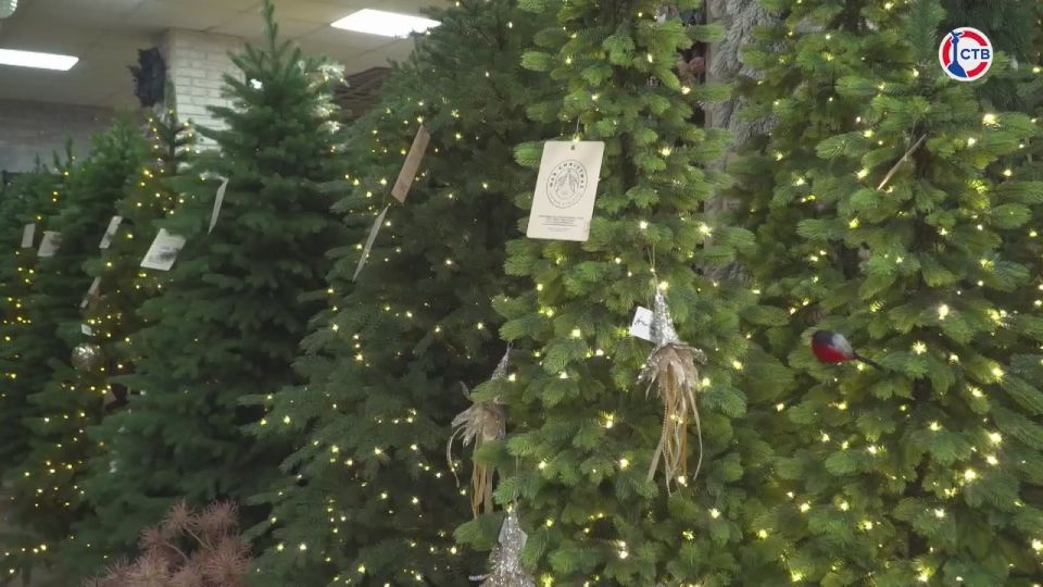 ���������� ������ � ����� ���� �������� � ���� ������