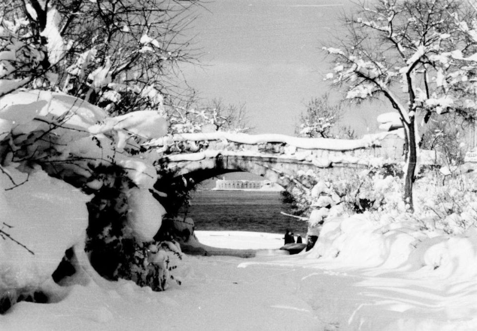 ���� ���� ������ � ��������� ����������, �������� "���������" ������� ����������