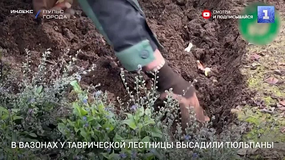 � ����������� �������� �������� ��������� � ������� �� ����������� ��������