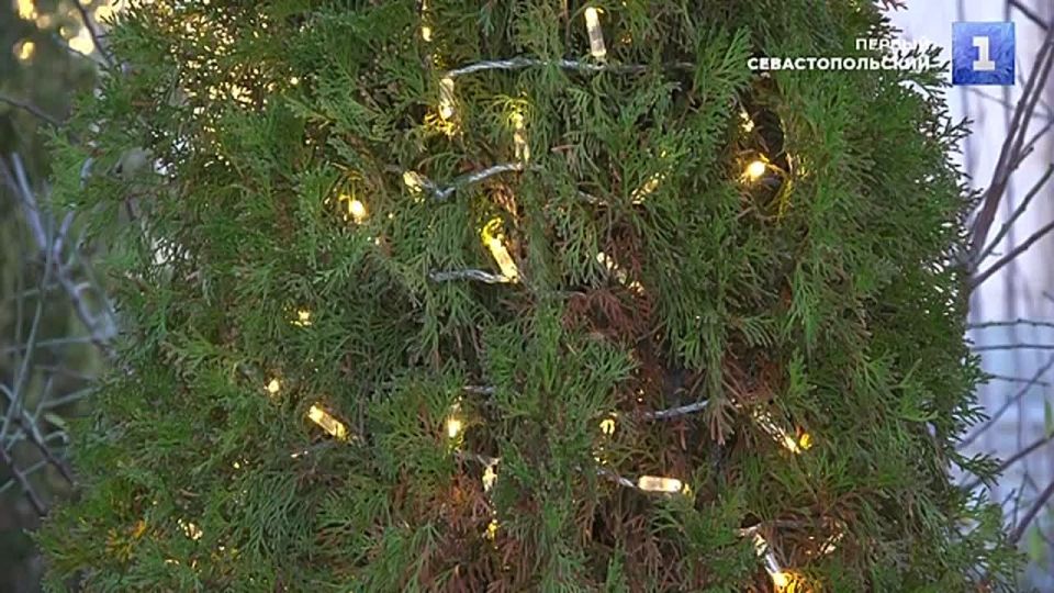 � ���������� ���������� ���������� ������ ��������� � �����-������������� ������ ������� � ������ ��������