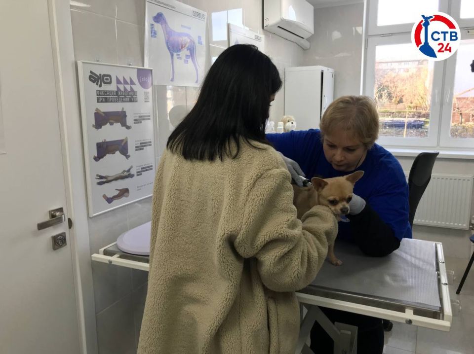 � ����������� ���������� ������������� �� ���������� ������������ ����� � ���� ��� ��������