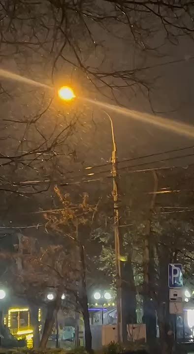 ������ �������� ���� �����������