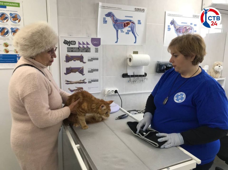 � ����������� ���������� ������������� �� ���������� ������������ ����� � ���� ��� ��������