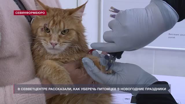 ��� ������� ������� �� ���������� � ���������� ���������