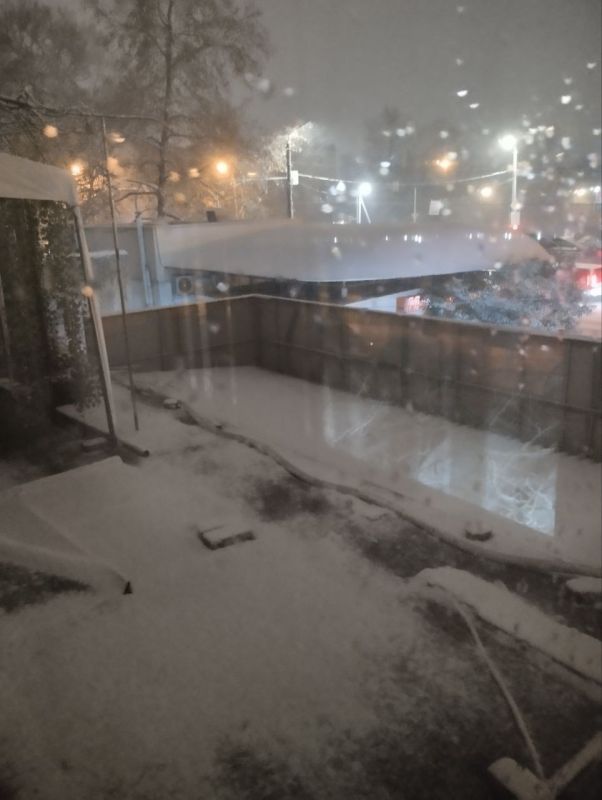 �������� ������ �� ����. ��������� �� ���-������������ | ������ ��� � ������������� MAX