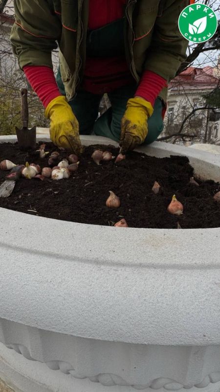 ����������� ������� ������ �� ��������������� � ������ �����������