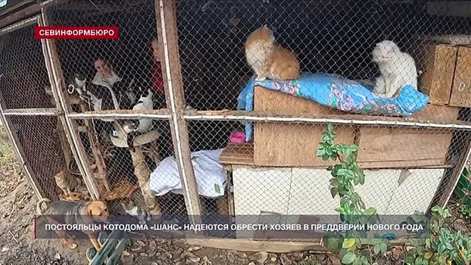 ���������� �������� ����� �������� ������� ������ � ���������� ������ ����