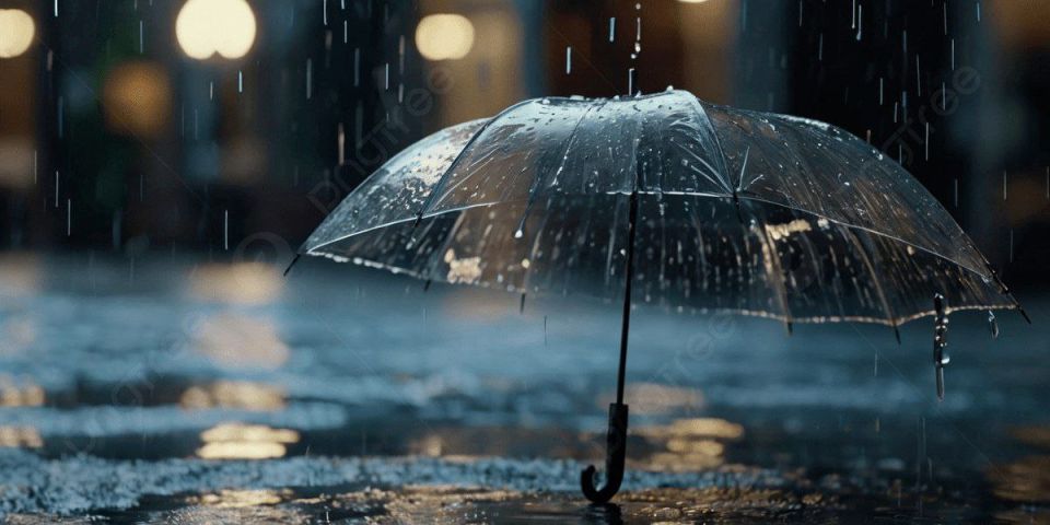 ��������� �������������!. �� ��������� ���������� � ����������� ��������� ������� �����, ���� � �����