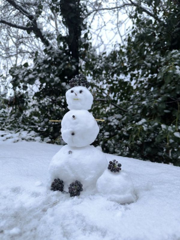 �������� ��-����������� ������� ������������ ������ ��������� ������� ������