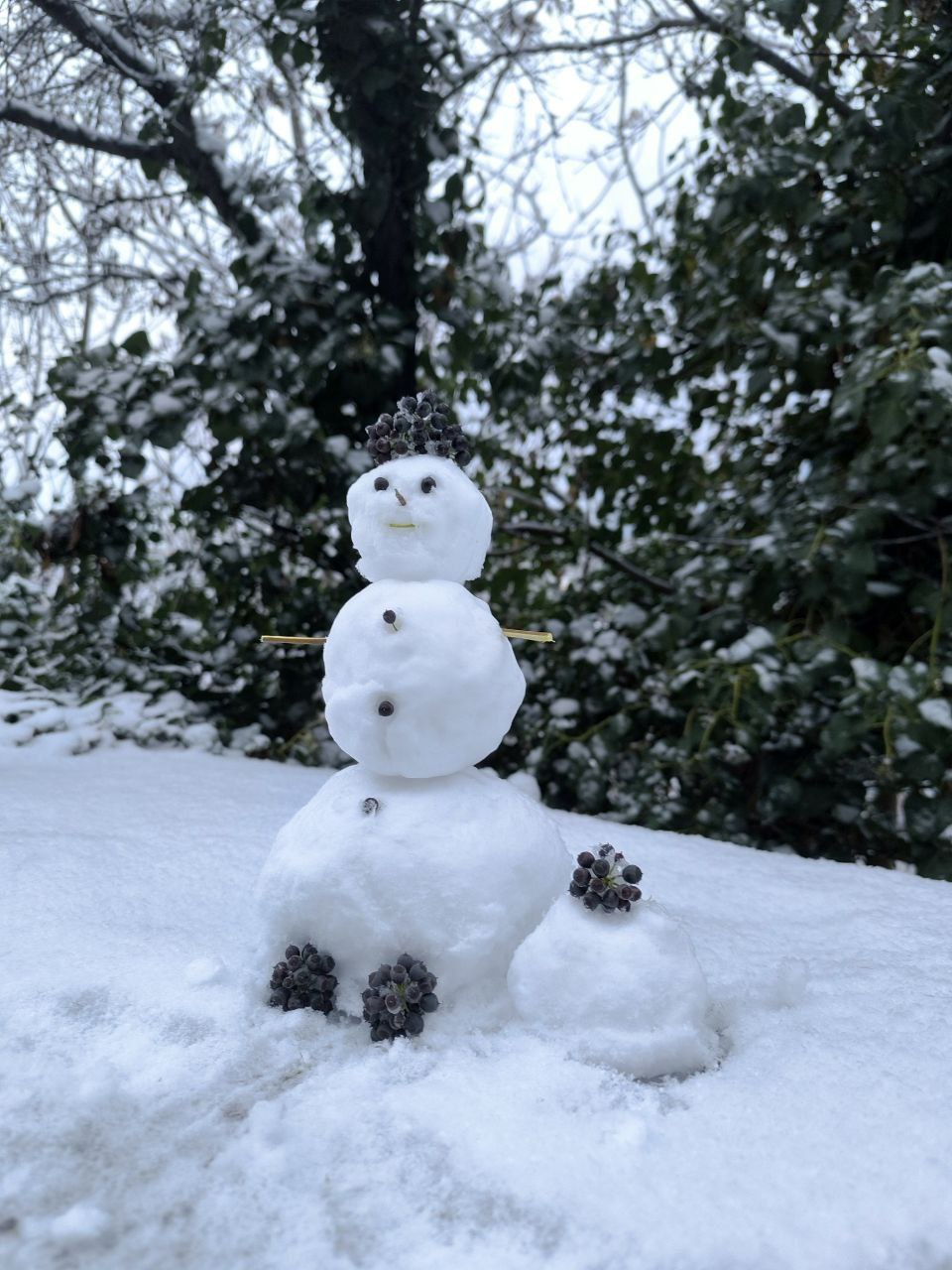Читатели КП-Севастополь делятся заснеженными видами различных районов города Читатели КП-Севастополь делятся заснеженными видами различных районов города