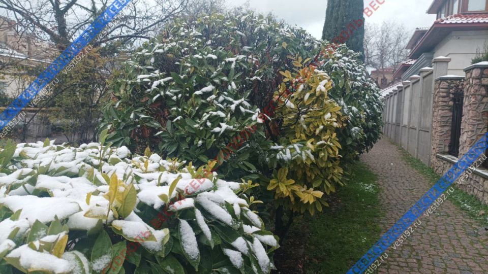 ������������ ���� ���������� � ����������� ������ ����!