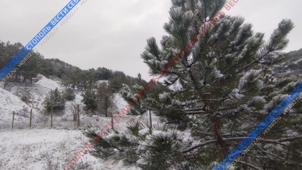 ������������ ���� ���������� � ����������� ������ ����!