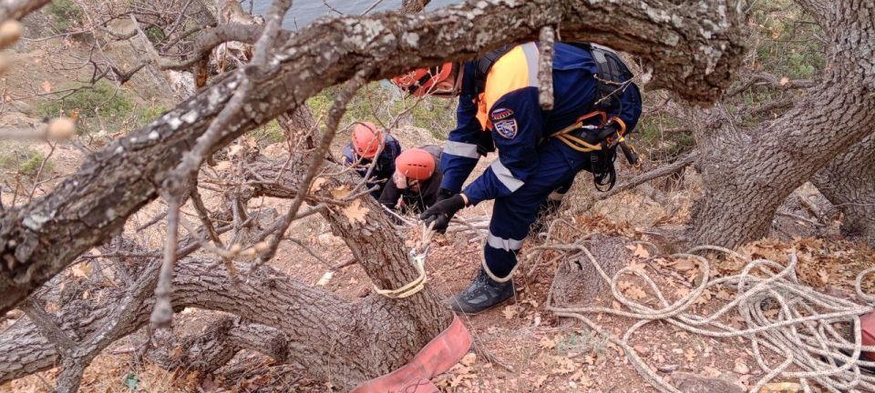 �������, � ���� ��������� ���������� ���������, �� �� ���� ���� ����������� ���, ��� ��������� ������������� ����������� ���� ���� � ����������� ������ ����!