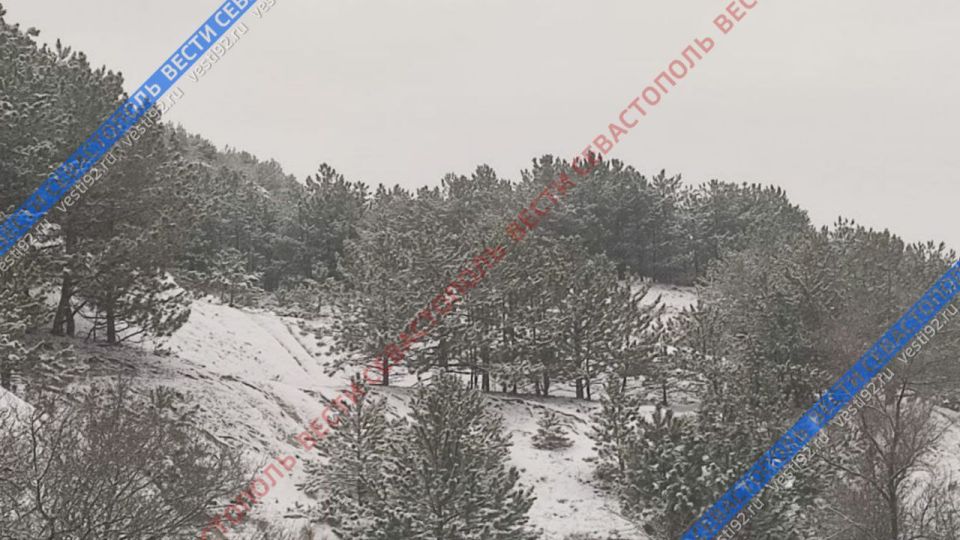 ������������ ���� ���������� � ����������� ������ ����!