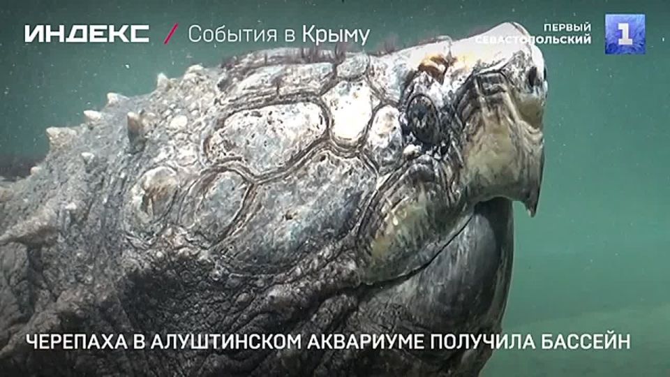 25-������ �������� �� ����� ������ �� ������������ ��������� �������� ������������ ������� ������������ 5 ����