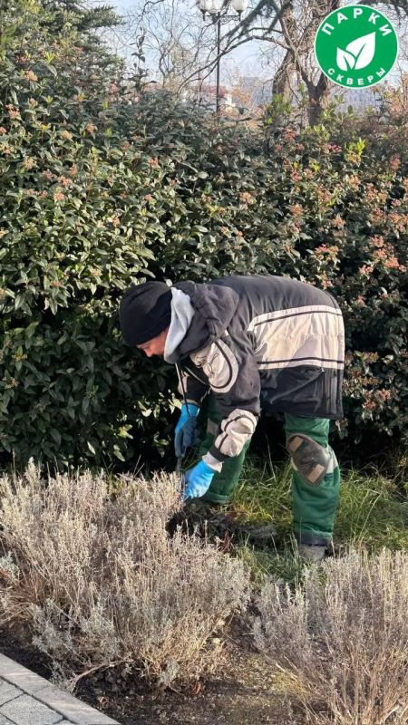 � ������ ����� ������ ����������� ��������� ������ � ������ �������� ���������� � ����