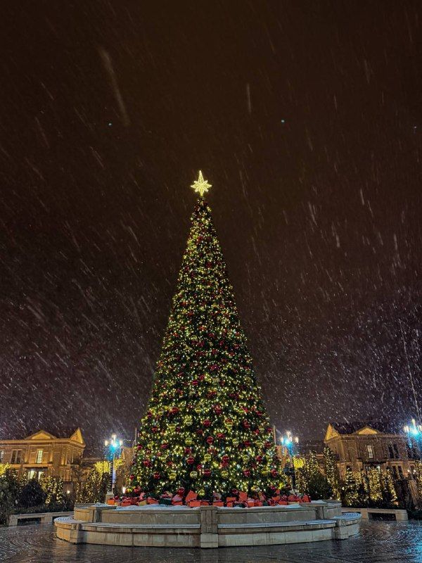 ������ ������ � ����� ���������