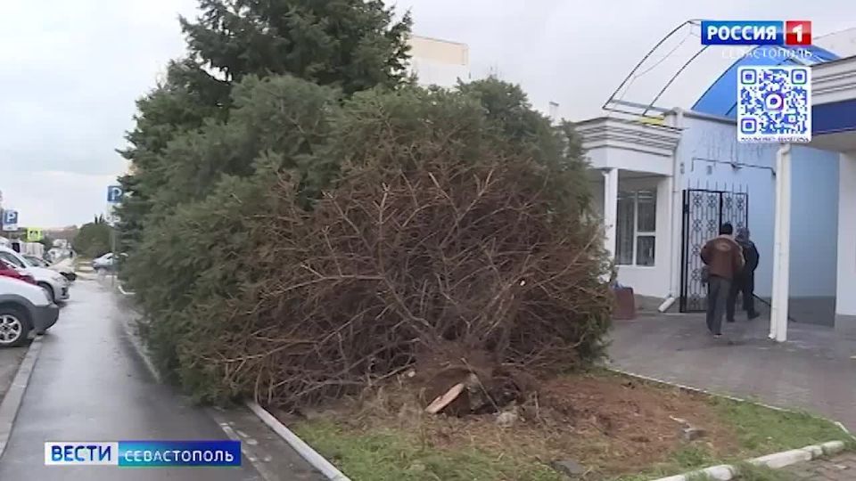 � �������� �� �������� ����������� ���������� ������