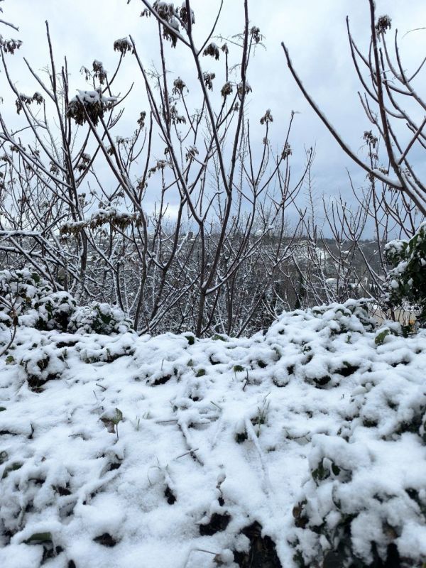 � ������ ����������� �����!