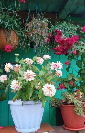 ��� ����� ���� ����: ����� �� ���������� ����� ������������ � ���������� �����