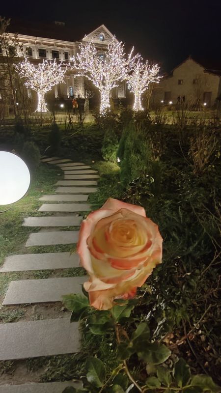 �������������� ����� �������� �� ����