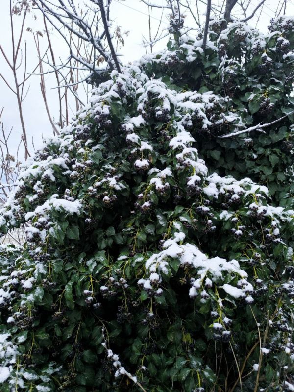 � ������ ����������� �����!