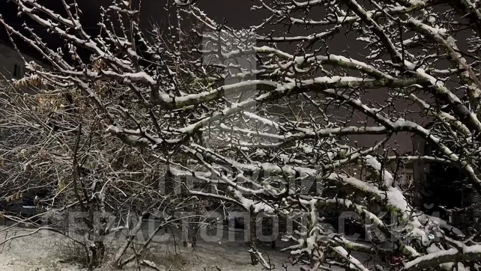 �������� ������������� ���������� �� ��������� ������ ����������