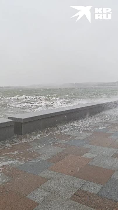 ��������� ������� ����������� ��������� ����������� ��������