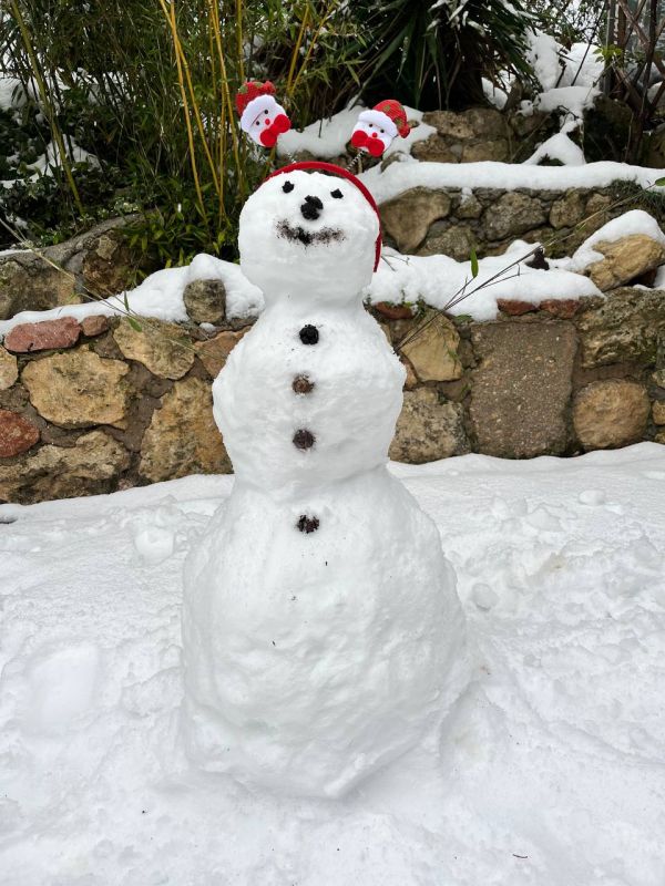 �������������, � ��� ����-�����: ����� ����!