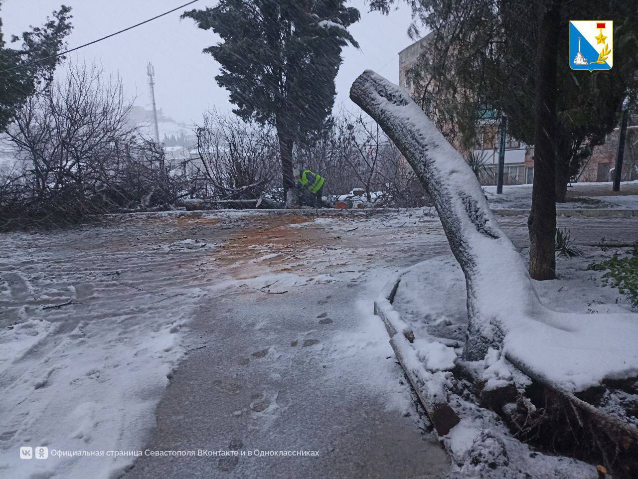 В Балаклаве убрали упавшее дерево В Балаклаве убрали упавшее дерево