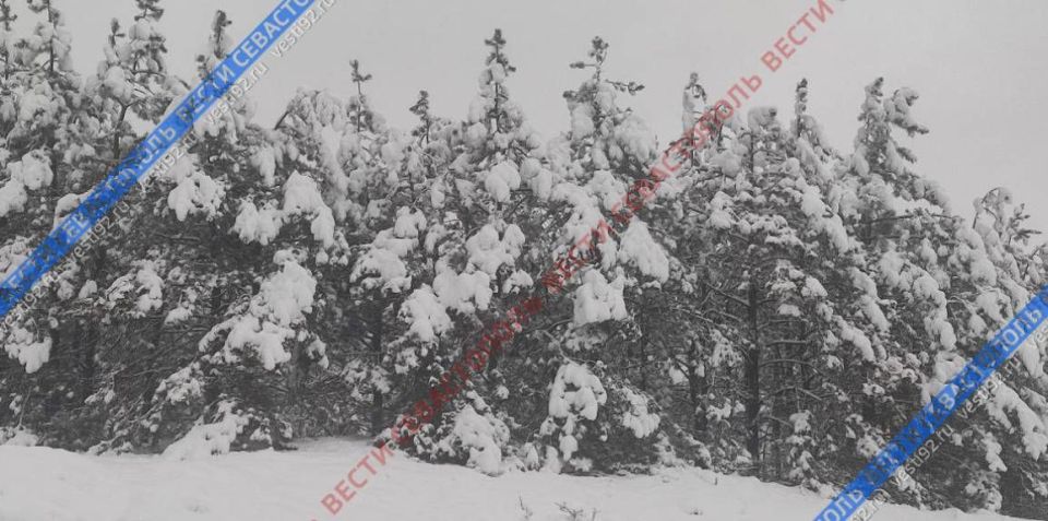 ��� ��� ������ �������� ��� �� �������