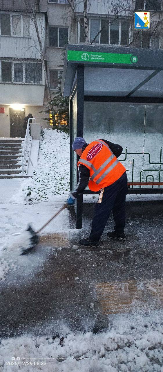 В Балаклаве убрали упавшее дерево В Балаклаве убрали упавшее дерево