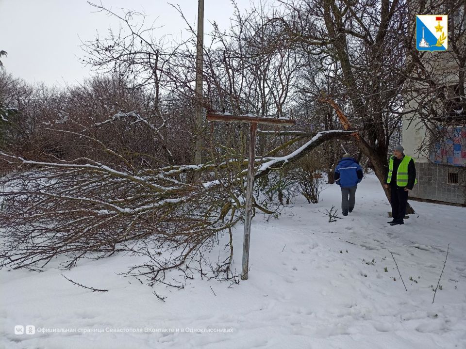 ��������� ������ ������� � ���������� ������