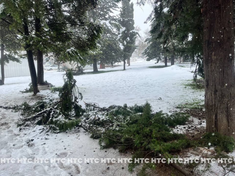 #���_�����. ��� �������� ������� ������ �� ����� �������� ����� �� ���������