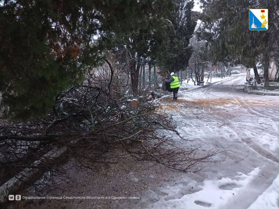 �������� ����������� �������� �������������� ������ � ������� ���� ������������ ������� ���������� ������