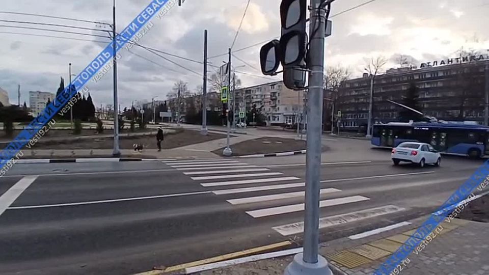 � ����� ������� ������ ���������� ������� �������� �� �������� ���������