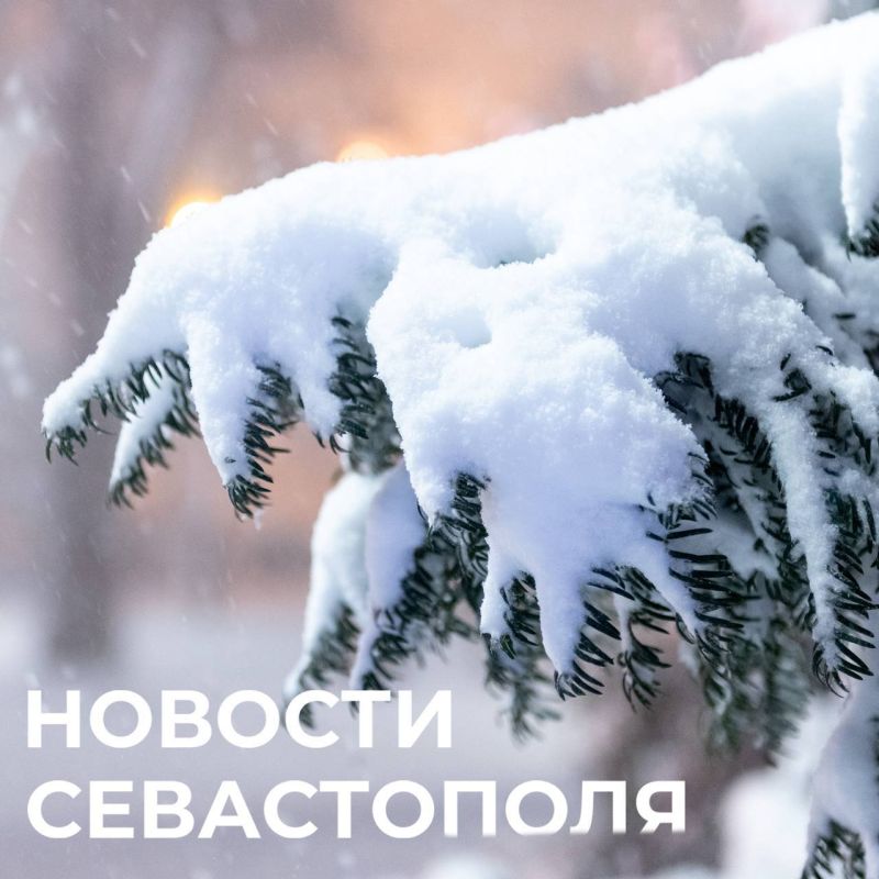 ������ ���������: ����� ��������� ���:. ������ �������� �� ���� ������ ����������������� ��������, ����� �� �������������� � ���� ���� ��������� ������������� ����������� �������� � ������������ ������� ����������...