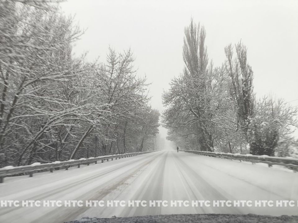 #���_�����. ���������� ������� ������� ����������� �������� �����