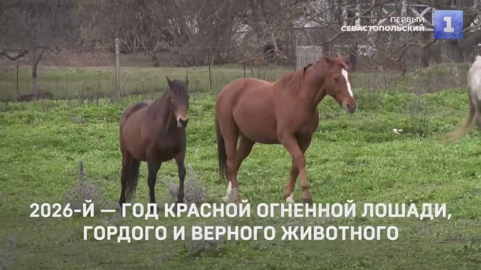 2026� - ��� ������� �������� ������, ��������� �������, �������� � �������