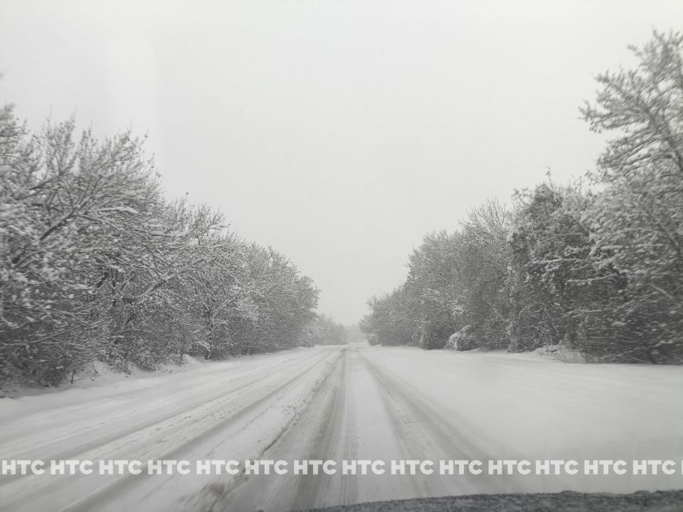 #���_�����. ���������� ������� ������� ����������� �������� �����