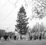 Новогодняя ёлка Севастополя на площади Нахимова в 1982 году