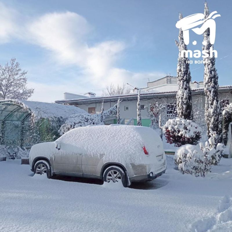 ����������-����������, ������������!