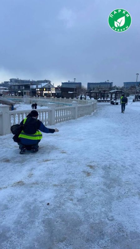 ��� ���������� ��������: � ����������� ���������� ������� ���� � ������