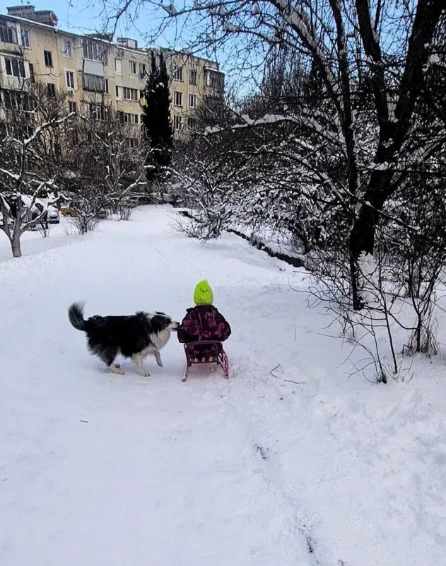 ���������� ������ ��������� ��������� ������������, ������� �������� �������������