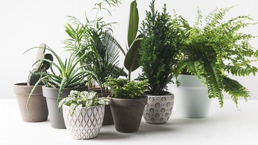 ��������� ��������� ��������: ��� �������� � ��� ����������� �������� � �������� �������������