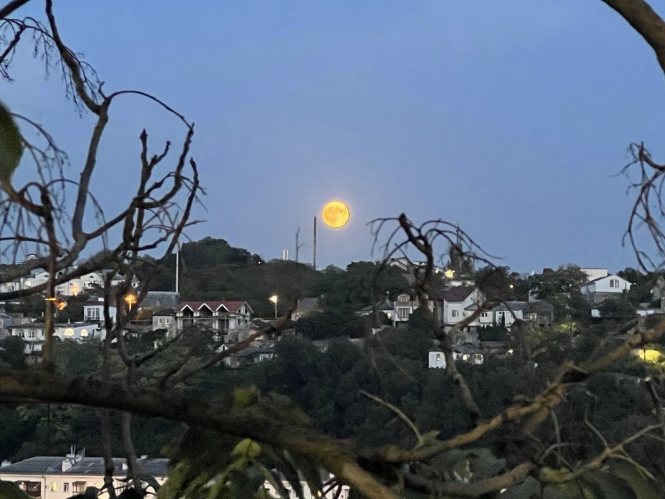 ������ ���������� 2026 �������� ��� ������!