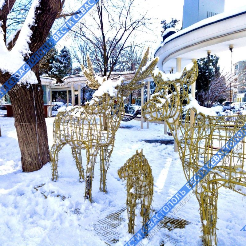 ������ ������������ ���� ������������� �������� �������: ��������� ��� ���� �� ������� ����� ������ ������ � ���������� ���������!