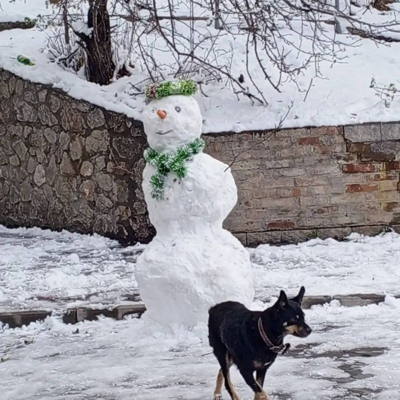 ���������� ������ ��������� ��������� ������������, ������� �������� �������������