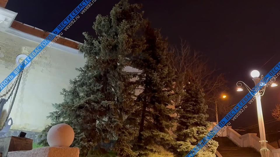 ����� � ����������� ������� ������ ����� �� 20 ������ � �������