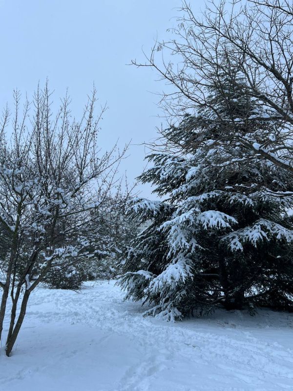 ������ ����, ������!. � ����������� 3 ������ ���� ��������� �����